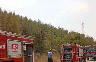 Nizip Belkız Köyü mesire alanında yangın
