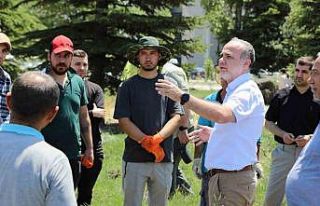 NÖHÜ’de lavanta hasadı yapıldı