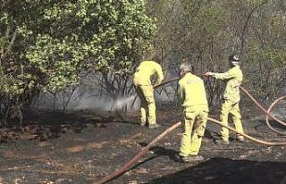 O ilin Valisi yangınlara karşı uyardı