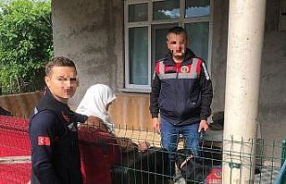 Ordu’da kayıp ihbarı olan kadın sağ olarak bulundu