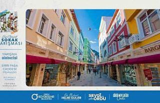 Ordu’nun en güzel mahalleleri, sokak ve balkonları...