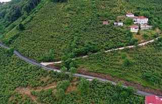 Ordu’nun seyir terasının yolunda sıcak asfalt...