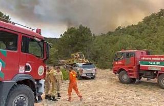 Orman Bölge Müdürü yangının ortasında kaldı