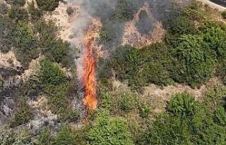 Orman Genel Müdürlüğünden ‘Yangın’ uyarısı