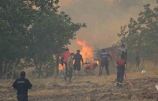 Orman yangının evlere sıçramaması için yoğun...