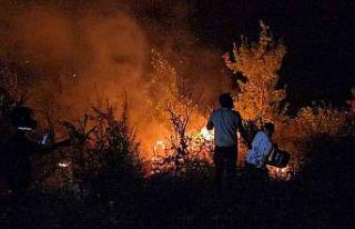 Orman yangınına gençlerden kahramanca müdahale