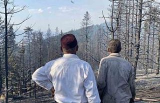 Orman yangınına karşı köylüler seferber oldu