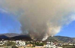 Orman yangınına müdahale 22. saatte devam ediyor