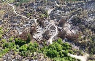 Orman yangınında köyün bir mahallesi yok oldu