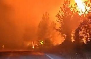 Orman yangınını söndürürken alev kapanında...