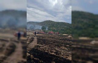 Ormana sıçrayan anız yangını korkuttu