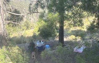 Ormanda piknik yapan 4 şahsa yasal işlem yapıldı