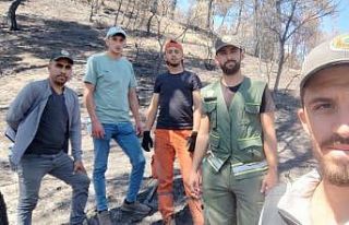 Ormanlar yeniden doğuyor: Geyve’de fidan mesaisi...