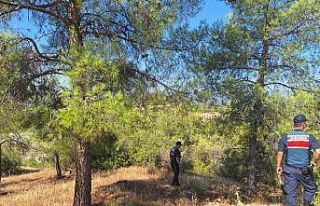 Ormanlara giren ve ateş yakanlara ceza yağdı