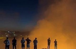 Ormanlık alanda çıkan yangın korkuttu