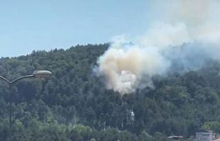 Örtü yangını büyümeden söndürüldü