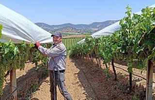 Örtücülerin kavurucu sıcaklarla zorlu mesaisi