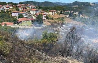 OSB içindeki ormanlık alanda çıkan yangın yürekleri...