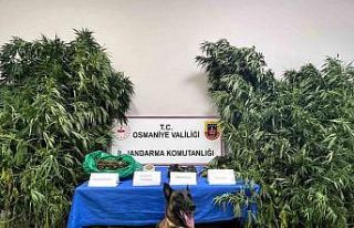 Osmaniye’de 1 haftada 105 şüpheli yakalandı