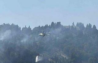 Osmaniye’deki orman yangını kontrol altına alındı