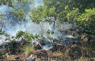 Osmaniye’nin Düziçi ilçesinde orman yangını...