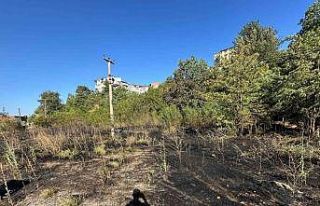 Ot yangınında facianın eşiğinden dönüldü