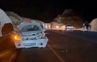 Otomobil domuza çarptı