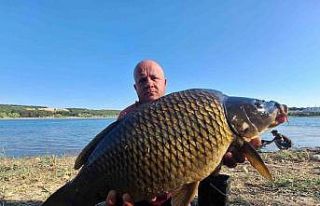 (ÖZEL) Yakalandıkları devasa sazanları yeniden...