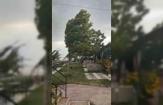 Palu’da fırtına etkili oldu