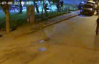 Parkta çıkan silahlı kavgada 1 kişi yaralandı