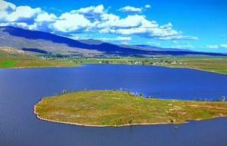 Patnos Barajı doğaseverlerin uğrak noktası oldu