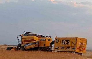 Patnosta buğday hasadı başladı
