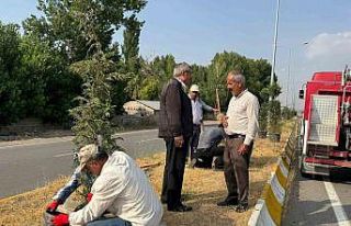 Patnos’ta yeşil alan çalışmaları sürüyor