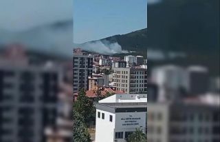 Pendik Aydos Ormanı’nda yangın kontrol altına...