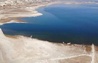 Porsuk Çayı’nda balık ölümleri iddialarına...