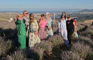 Rus turistler Tekirdağ’da mor lavanta tarlalarına...
