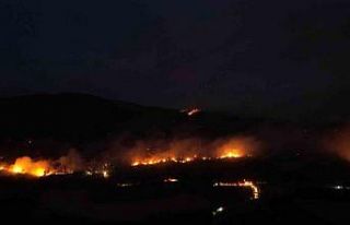 Sakarya-Bilecik sınırında alevler yeniden yükseldi