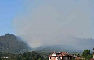 Sakarya Hendek’teki orman yangını kontrol altına...