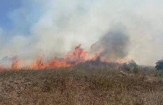 Sakarya Kaynarca’da makilik alanda yangın çıktı