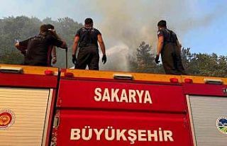 Sakarya’da ateş savaşçılarının zorlu 4 günü