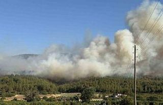 Sakarya’da orman yangını