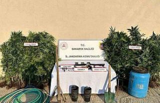 Sakarya’da uyuşturucu operasyonu: 1 tutuklama