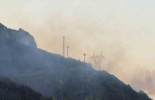 Sakarya’daki orman yangını kısmen kontrol altına...