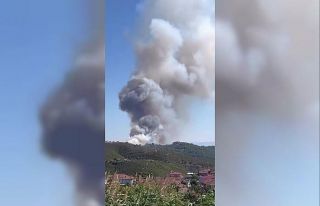 Sakarya’nın Hendek ilçesinde de yangın çıktı