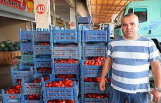 Salça dönemi başlamayınca domatesin fiyatı 3...
