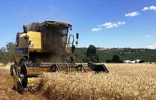 Samsun bitkisel üretimde hedef büyüttü