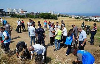 Samsun’da orman yangınlarına karşı seferberlik