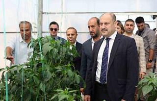 Şanlıurfa Büyükşehir Belediyesi Ata Tohumuna...