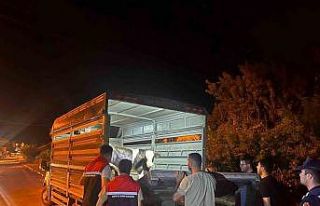 Şap hastalığı tedbirlerine uymadı 105 bin lira...