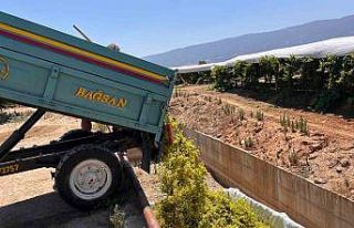 Sarıgöl’de şaraplık üzüm alımları başladı